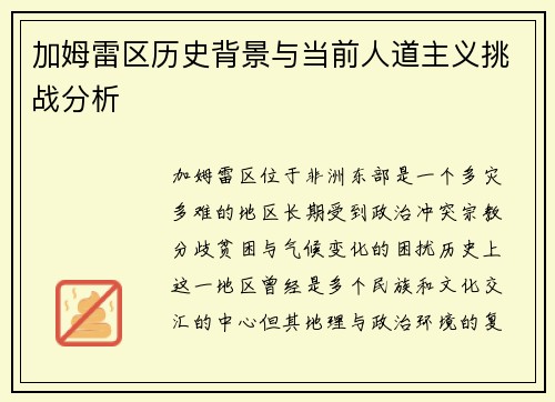加姆雷区历史背景与当前人道主义挑战分析